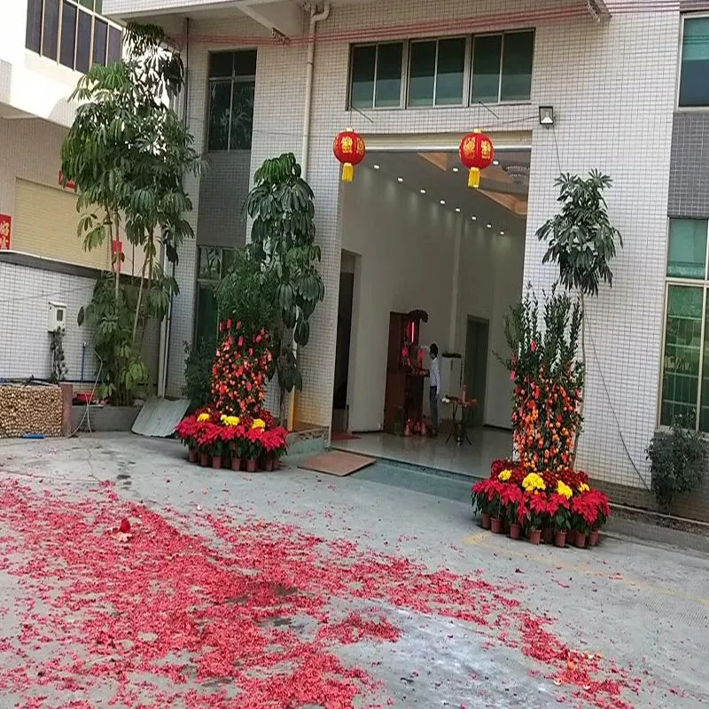 काश हर कोई एक अद्भुत शुरुआत है